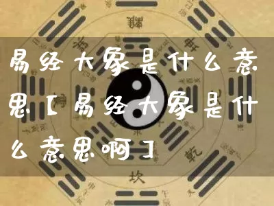 易经大象是什么意思【易经大象是什么意思啊】_https://www.nbtfsb.com_国学动态_第1张