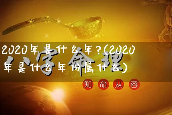 2020年是什么年?(2020年是什么年份属什么)_https://www.nbtfsb.com_道源国学_第1张