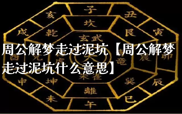 周公解梦走过泥坑【周公解梦走过泥坑什么意思】_https://www.nbtfsb.com_易经起名_第1张