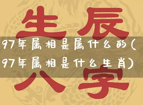 97年属相是属什么的(97年属相是什么生肖)_https://www.nbtfsb.com_八字算命_第1张