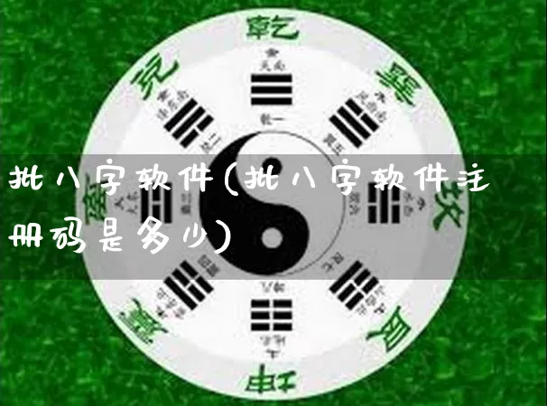 批八字软件(批八字软件注册码是多少)_https://www.nbtfsb.com_道源国学_第1张