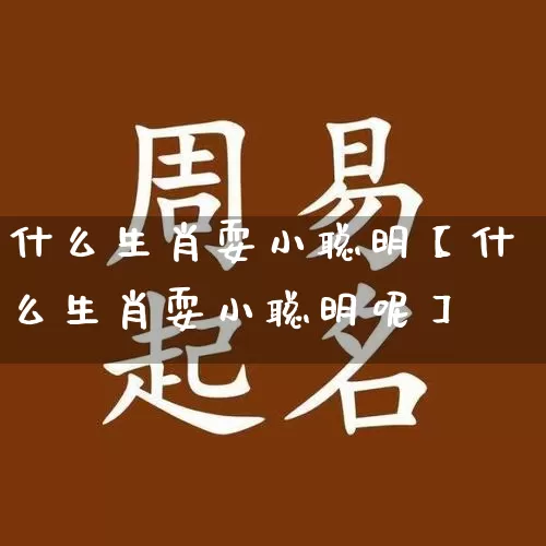 什么生肖耍小聪明【什么生肖耍小聪明呢】_https://www.nbtfsb.com_道源国学_第1张