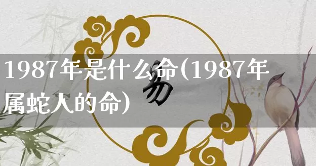 1987年是什么命(1987年属蛇人的命)_https://www.nbtfsb.com_五行风水_第1张