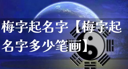 梅字起名字【梅字起名字多少笔画】_https://www.nbtfsb.com_五行风水_第1张