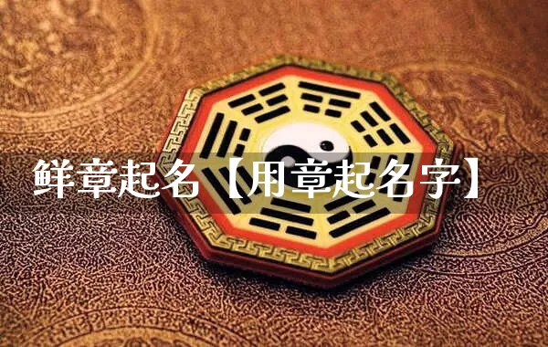 鲜章起名【用章起名字】_https://www.nbtfsb.com_易经起名_第1张