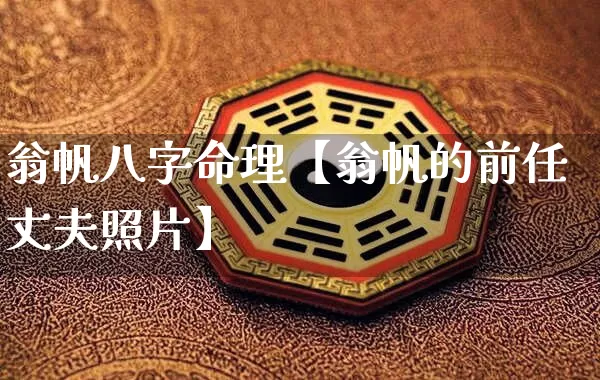 翁帆八字命理【翁帆的前任丈夫照片】_https://www.nbtfsb.com_八字算命_第1张