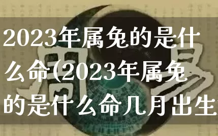 2023年属兔的是什么命(2023年属兔的是什么命几月出生好)_https://www.nbtfsb.com_国学动态_第1张