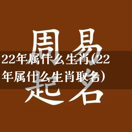 22年属什么生肖(22年属什么生肖取名)_https://www.nbtfsb.com_易经起名_第1张