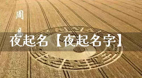 夜起名【夜起名字】_https://www.nbtfsb.com_道源国学_第1张