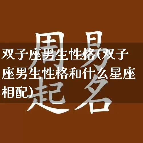 双子座男生性格(双子座男生性格和什么星座相配)_https://www.nbtfsb.com_易经起名_第1张