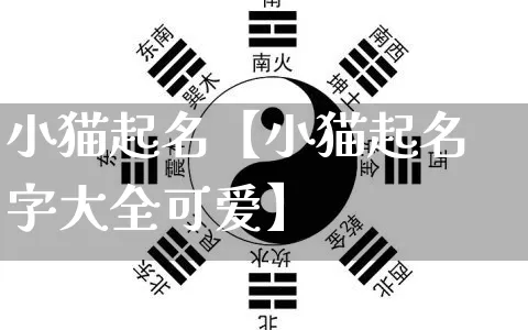 小猫起名【小猫起名字大全可爱】_https://www.nbtfsb.com_易经起名_第1张