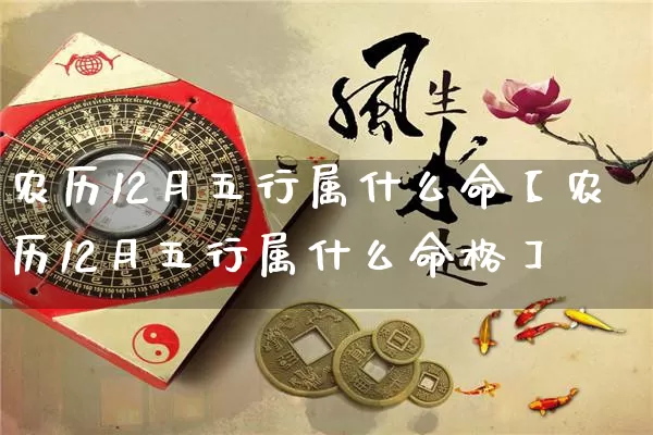 农历12月五行属什么命【农历12月五行属什么命格】_https://www.nbtfsb.com_易经起名_第1张