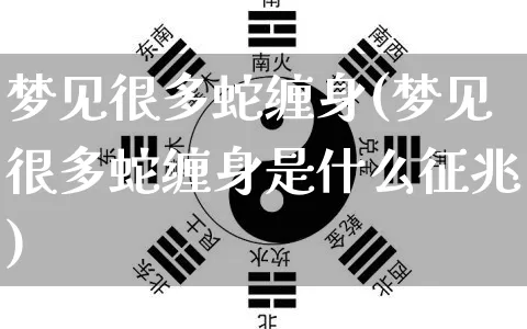 梦见很多蛇缠身(梦见很多蛇缠身是什么征兆)_https://www.nbtfsb.com_国学动态_第1张