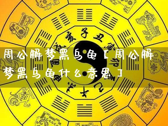 周公解梦黑乌龟【周公解梦黑乌龟什么意思】_https://www.nbtfsb.com_国学动态_第1张