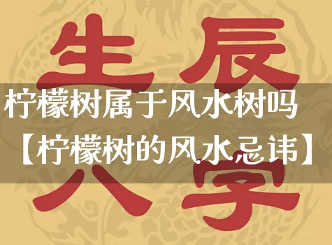 柠檬树属于风水树吗【柠檬树的风水忌讳】_https://www.nbtfsb.com_道源国学_第1张