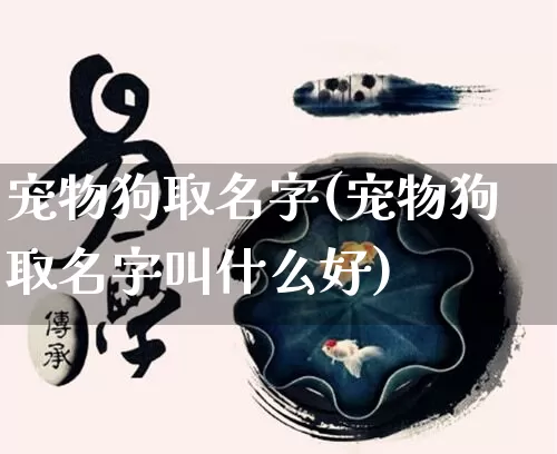 宠物狗取名字(宠物狗取名字叫什么好)_https://www.nbtfsb.com_国学动态_第1张