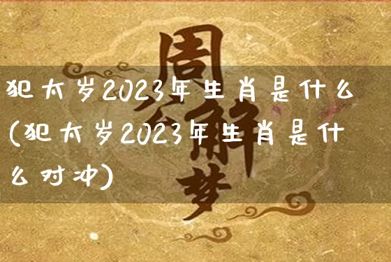 犯太岁2023年生肖是什么(犯太岁2023年生肖是什么对冲)_https://www.nbtfsb.com_道源国学_第1张