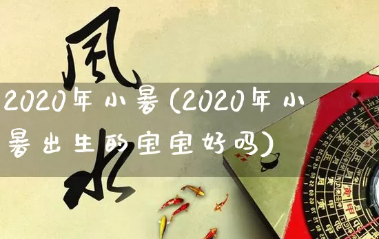 2020年小暑(2020年小暑出生的宝宝好吗)_https://www.nbtfsb.com_国学动态_第1张