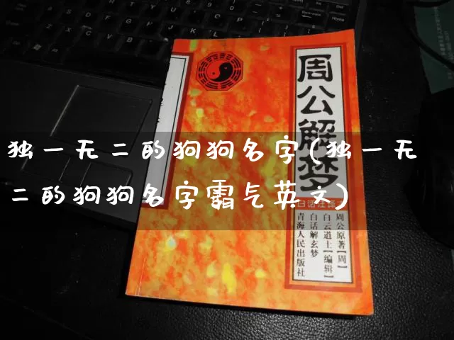 独一无二的狗狗名字(独一无二的狗狗名字霸气英文)_https://www.nbtfsb.com_生肖星座_第1张