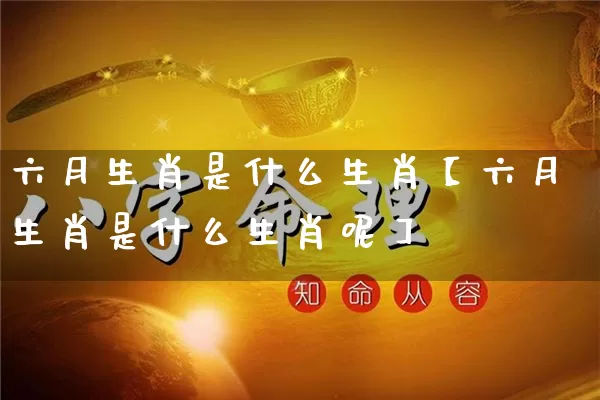 六月生肖是什么生肖【六月生肖是什么生肖呢】_https://www.nbtfsb.com_周公解梦_第1张