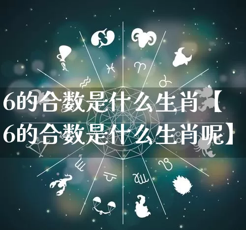 6的合数是什么生肖【6的合数是什么生肖呢】_https://www.nbtfsb.com_国学动态_第1张