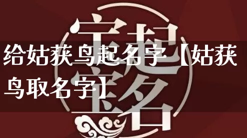 给姑获鸟起名字【姑获鸟取名字】_https://www.nbtfsb.com_国学动态_第1张