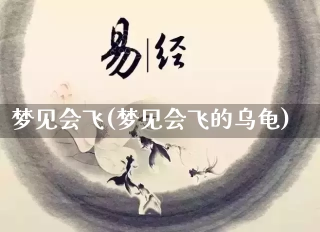 梦见会飞(梦见会飞的乌龟)_https://www.nbtfsb.com_生肖星座_第1张