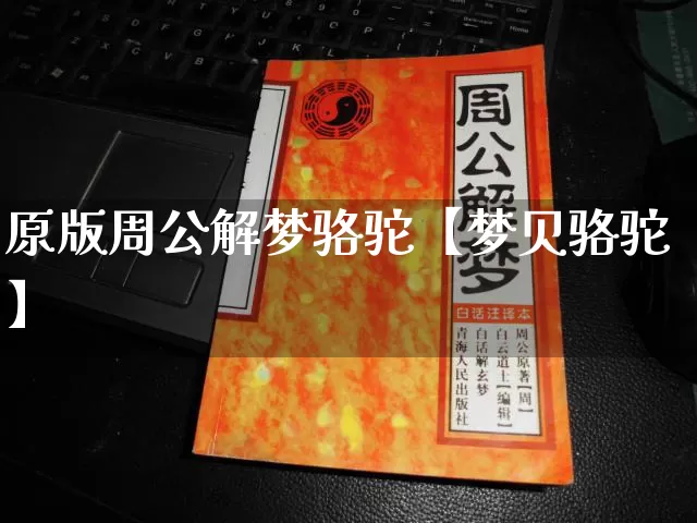 原版周公解梦骆驼【梦贝骆驼】_https://www.nbtfsb.com_周公解梦_第1张