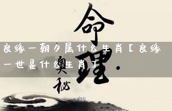 良缘一朝夕属什么生肖【良缘一世是什么生肖】_https://www.nbtfsb.com_国学动态_第1张