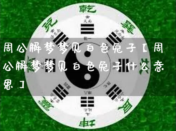 周公解梦梦见白色兔子【周公解梦梦见白色兔子什么意思】_https://www.nbtfsb.com_生肖星座_第1张