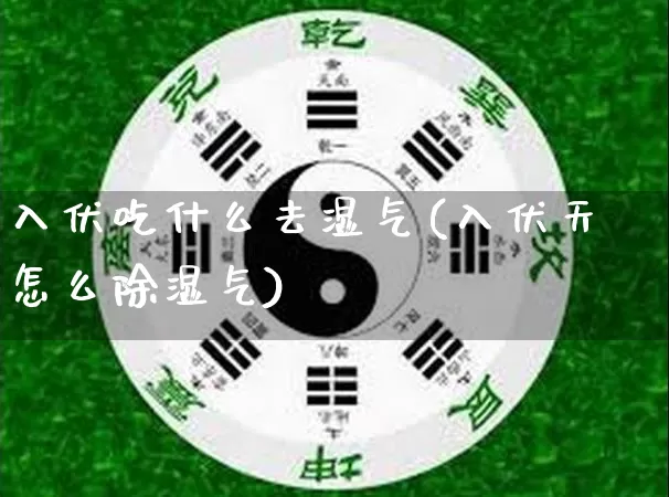 入伏吃什么去湿气(入伏天怎么除湿气)_https://www.nbtfsb.com_易经起名_第1张