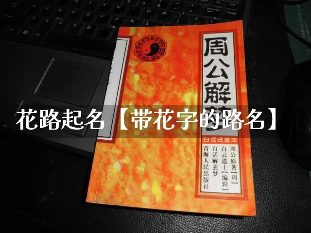 花路起名【带花字的路名】_https://www.nbtfsb.com_国学动态_第1张