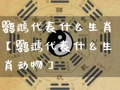 鹦鹉代表什么生肖【鹦鹉代表什么生肖动物】_https://www.nbtfsb.com_国学动态_第1张