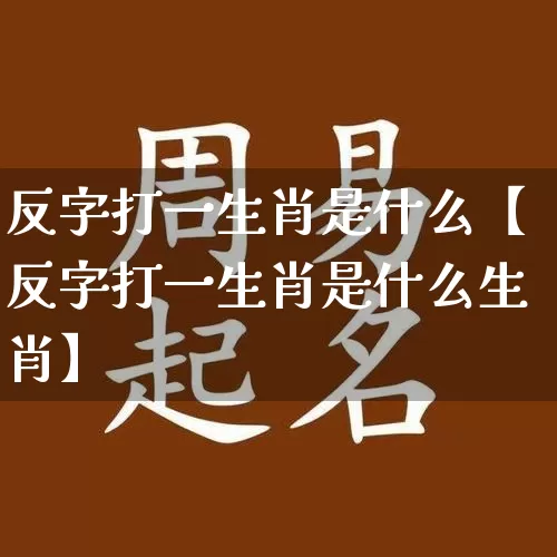 反字打一生肖是什么【反字打一生肖是什么生肖】_https://www.nbtfsb.com_易经起名_第1张