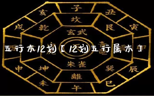 五行木12划【12划五行属木】_https://www.nbtfsb.com_八字算命_第1张