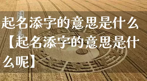 起名添字的意思是什么【起名添字的意思是什么呢】_https://www.nbtfsb.com_易经起名_第1张