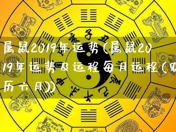 属鼠2019年运势(属鼠2019年运势及运程每月运程(农历六月))_https://www.nbtfsb.com_生肖星座_第1张