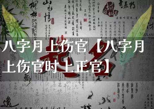 八字月上伤官【八字月上伤官时上正官】_https://www.nbtfsb.com_五行风水_第1张