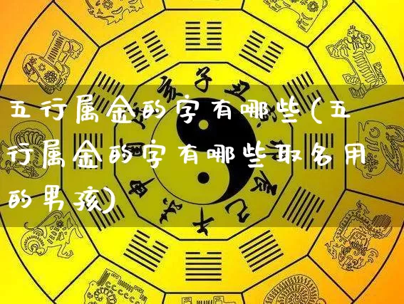 五行属金的字有哪些(五行属金的字有哪些取名用的男孩)_https://www.nbtfsb.com_周公解梦_第1张