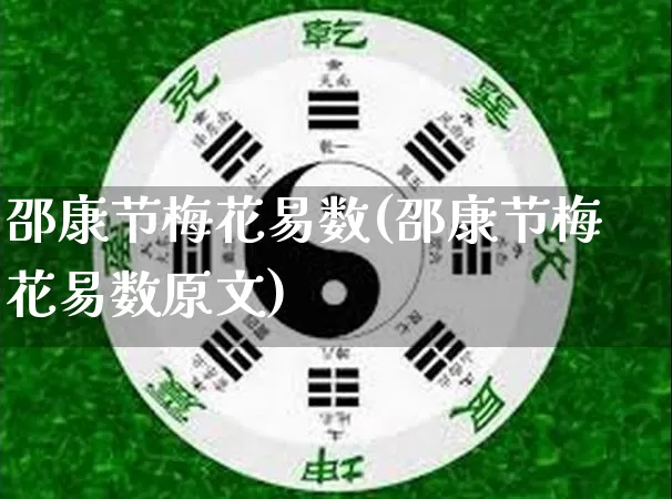 邵康节梅花易数(邵康节梅花易数原文)_https://www.nbtfsb.com_国学动态_第1张