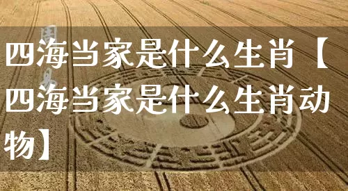 四海当家是什么生肖【四海当家是什么生肖动物】_https://www.nbtfsb.com_周公解梦_第1张