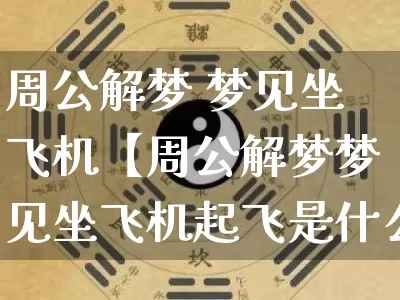 周公解梦 梦见坐飞机【周公解梦梦见坐飞机起飞是什么意思】_https://www.nbtfsb.com_道源国学_第1张