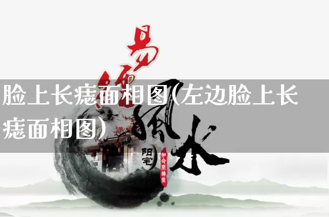 脸上长痣面相图(左边脸上长痣面相图)_https://www.nbtfsb.com_道源国学_第1张