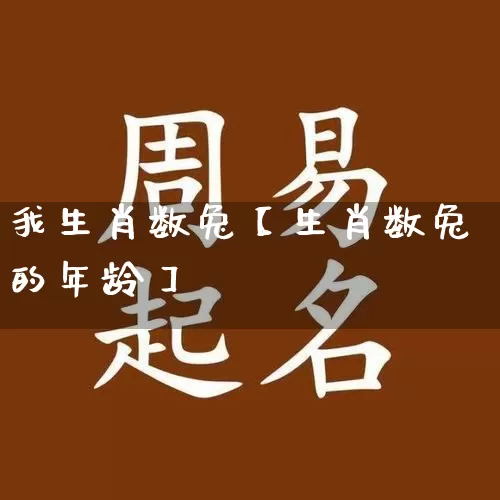 我生肖数兔【生肖数兔的年龄】_https://www.nbtfsb.com_生肖星座_第1张