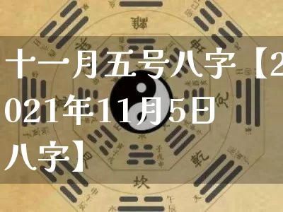 十一月五号八字【2021年11月5日八字】_https://www.nbtfsb.com_国学动态_第1张