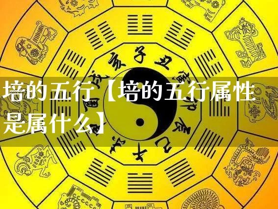 培的五行【培的五行属性是属什么】_https://www.nbtfsb.com_生肖星座_第1张