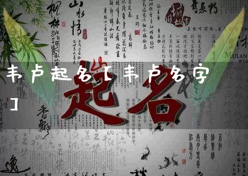 韦卢起名【韦卢名字】_https://www.nbtfsb.com_周公解梦_第1张