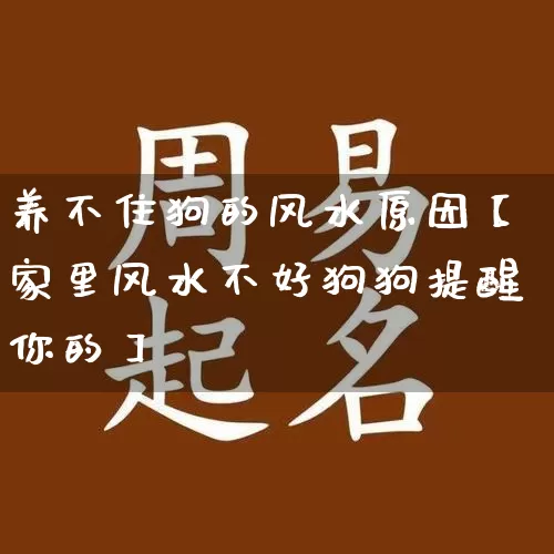 养不住狗的风水原因【家里风水不好狗狗提醒你的】_https://www.nbtfsb.com_八字算命_第1张