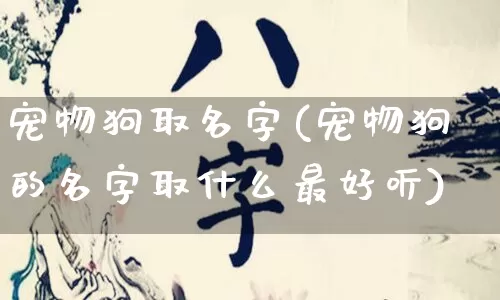 宠物狗取名字(宠物狗的名字取什么最好听)_https://www.nbtfsb.com_道源国学_第1张