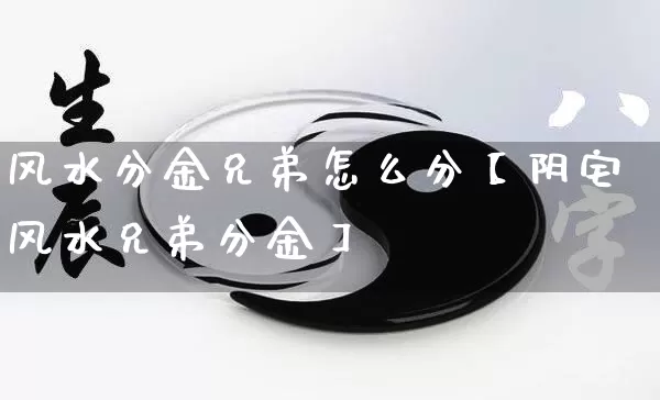 风水分金兄弟怎么分【阴宅风水兄弟分金】_https://www.nbtfsb.com_八字算命_第1张